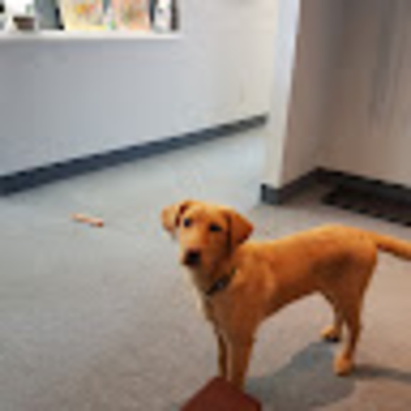 Meet your Posher, Kim - Picture 1 of 1